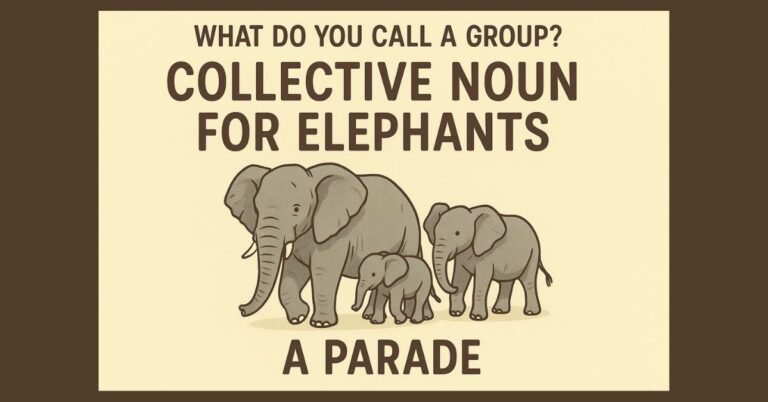 What Do You Call a Group? Collective Noun for Elephants